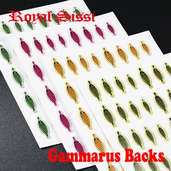 RoyalSissi 160 бр. компл връзването на мухи скъд гаммарус на гърба 4 размера за разбиване на скариди гърба реалистична нимфа муха тънка кожа материали за връзване на мухи